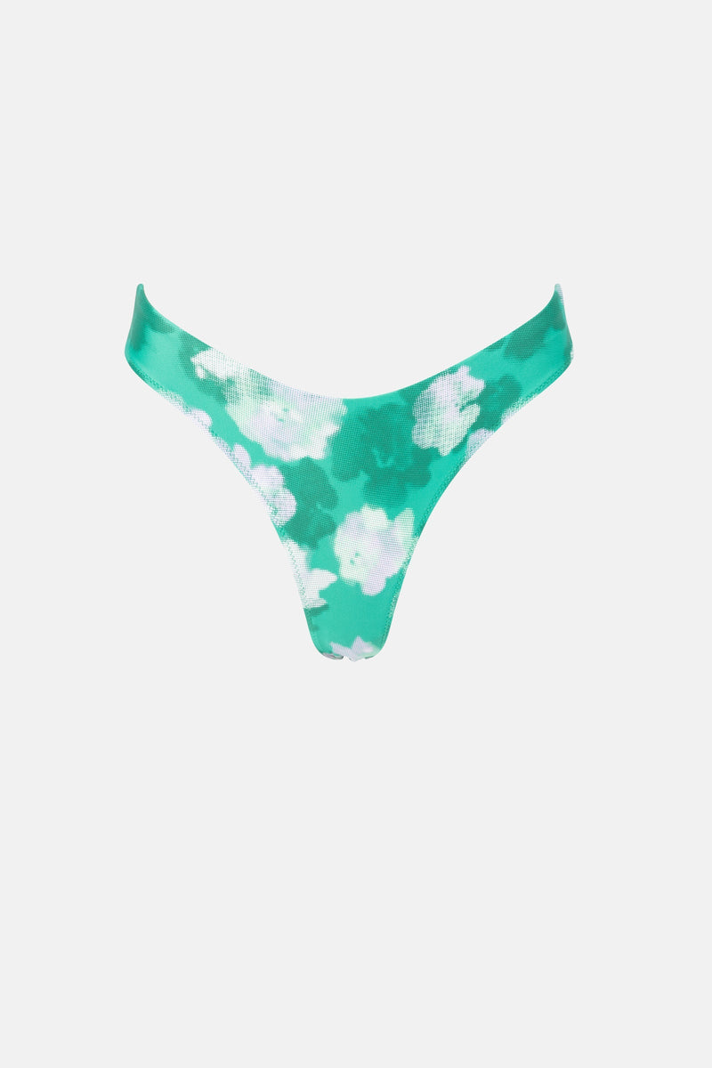 Bonita Floral Holiday Pant Green