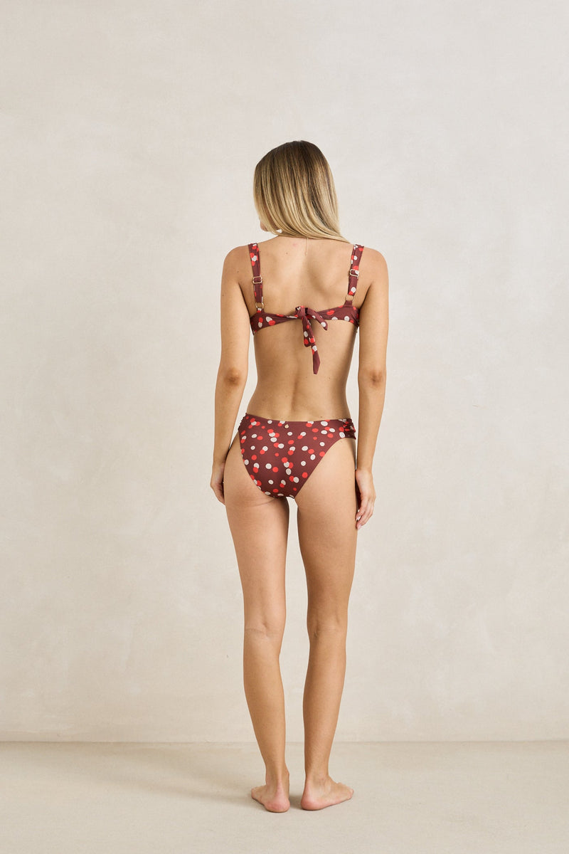 Focus Dot Soft Side Holiday Pant Poppy