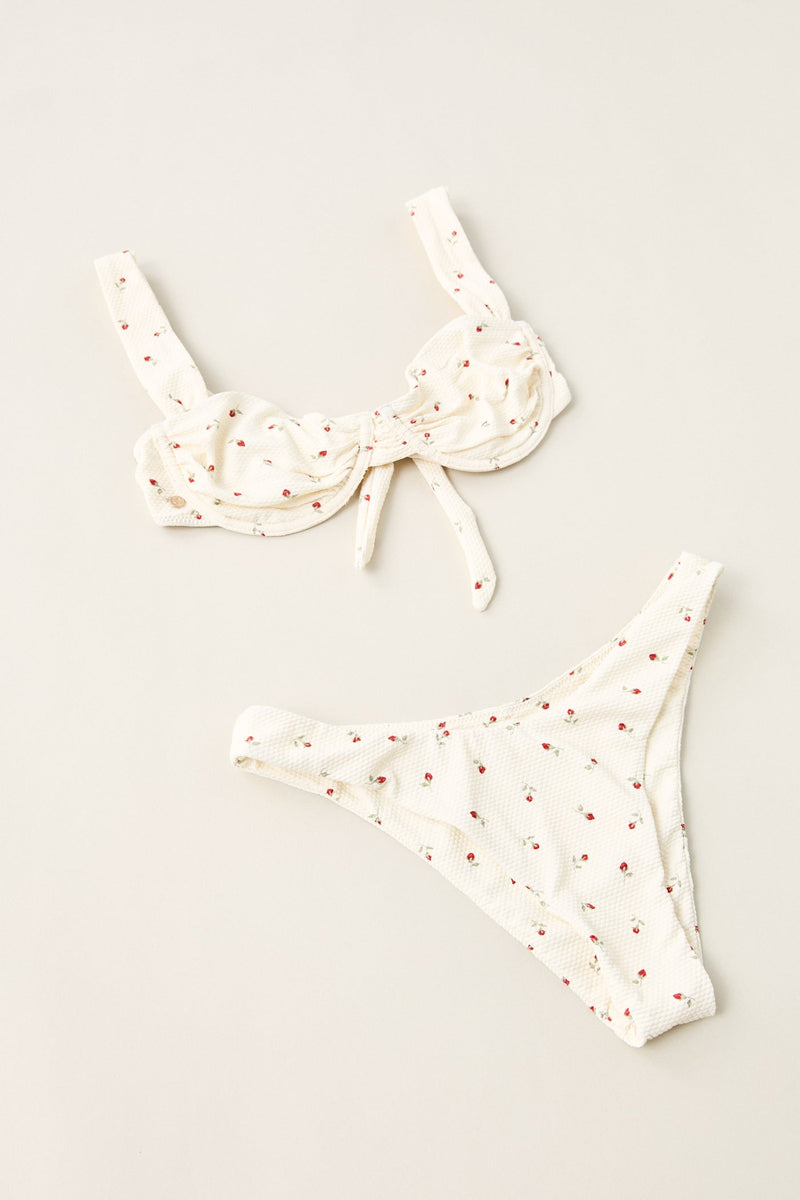 Paloma Ditsy Hi Cut Pant Rose