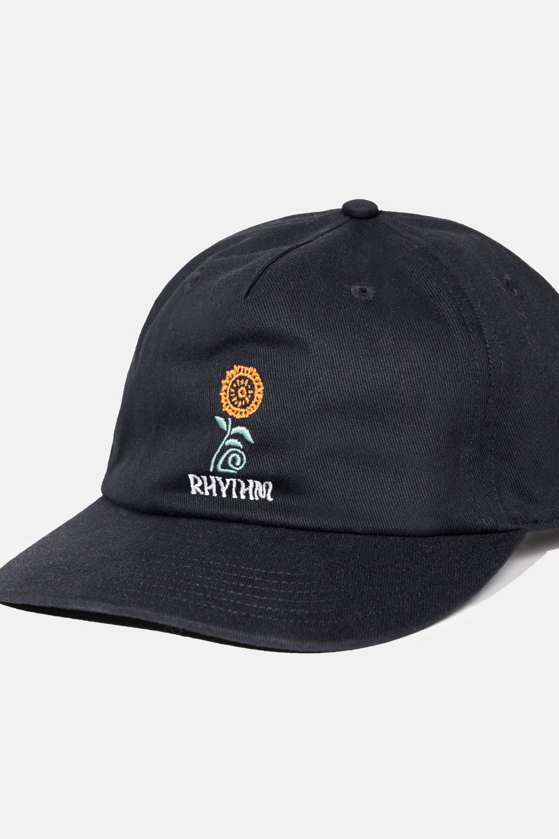 Protea Cap Black